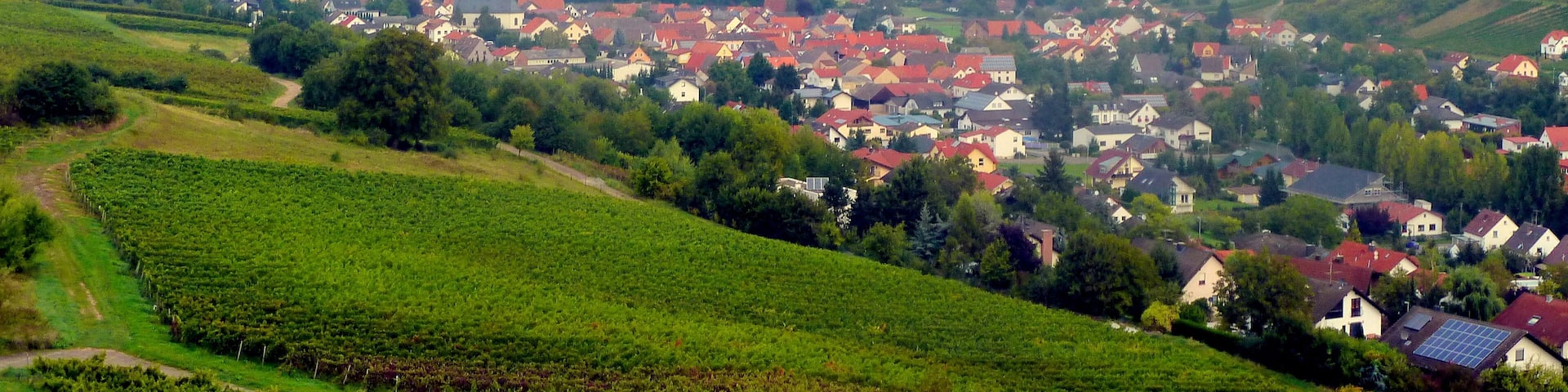Guldental - Ortsteil Waldhilbersheim
