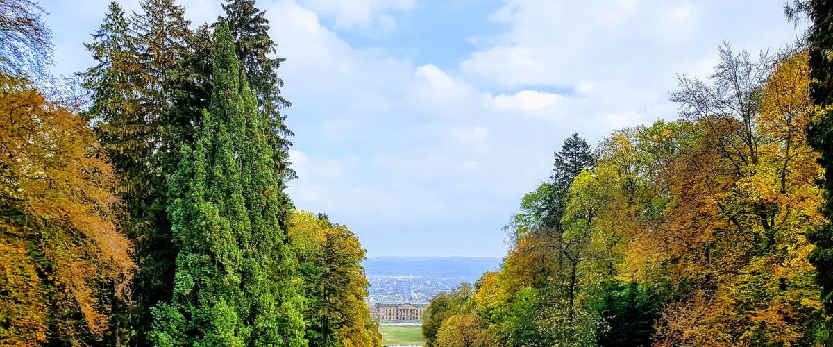 A serene landscape with a river, dense trees, and a distant view of a city.