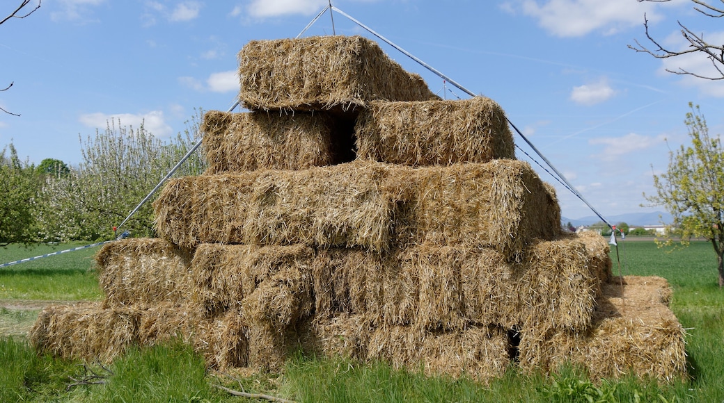 Personality rights Personality rights warningAlthough this work is freely licensed or in the public domain, the person(s) shown may have rights that legally restrict certain re-uses unless those depicted consent to such uses. In these cases, a model release or other evidence of consent could protect you from infringement claims. Though not obliged to do so, the uploader may be able to help you to obtain such evidence. See our general disclaimer for more information.