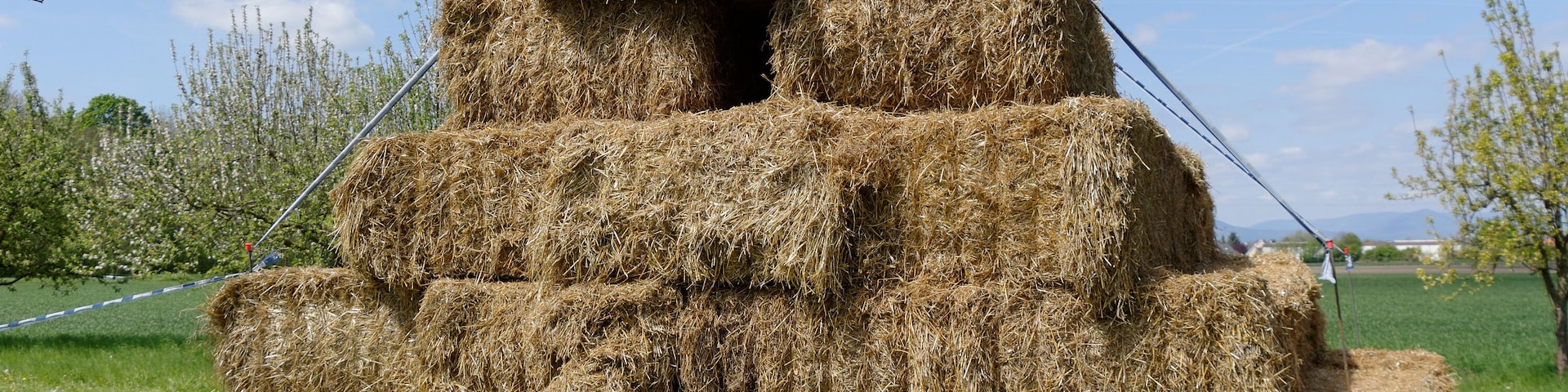 Personality rights Personality rights warningAlthough this work is freely licensed or in the public domain, the person(s) shown may have rights that legally restrict certain re-uses unless those depicted consent to such uses. In these cases, a model release or other evidence of consent could protect you from infringement claims. Though not obliged to do so, the uploader may be able to help you to obtain such evidence. See our general disclaimer for more information.