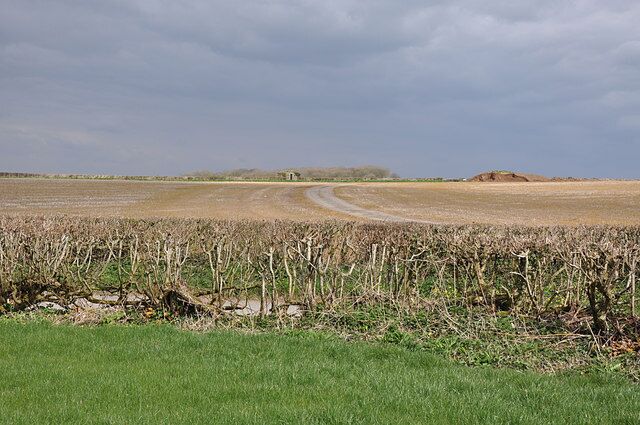 Stubble field and clipped hedgerow, Llandow The green strip in the foreground is adjacent to, but separate from, a much larger field and is just a few meteres across and no more than 50 long. There is a road immediately beyond the hedge with a stubble field sloping up toward the site of the old airfield. A low hangar can just be made out on the horizon and in front of the copse to its left can be seen a small block house used for defensive purposes.