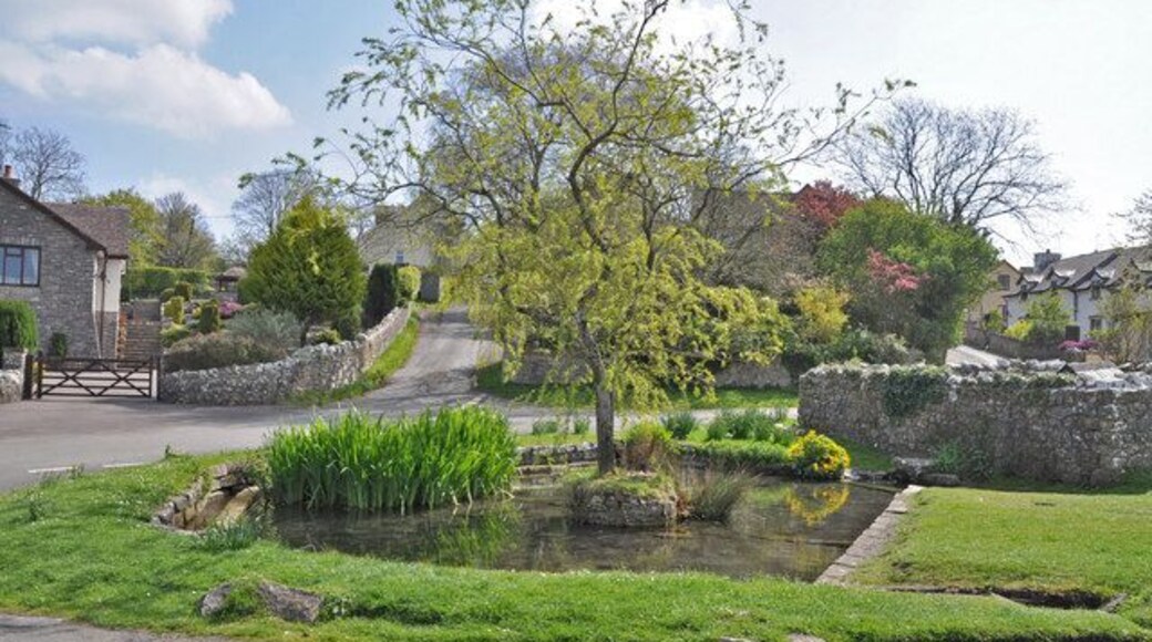 The village pond - Llysworney