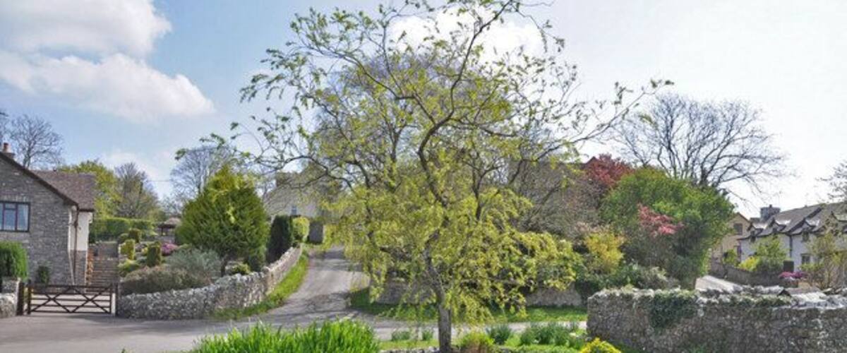 The village pond - Llysworney