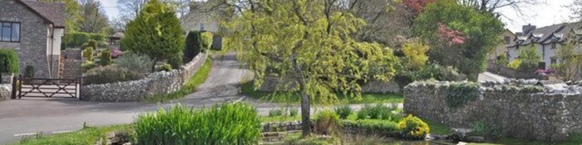 The village pond - Llysworney