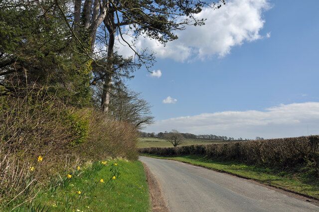 A rural road with fields and hedgerows.