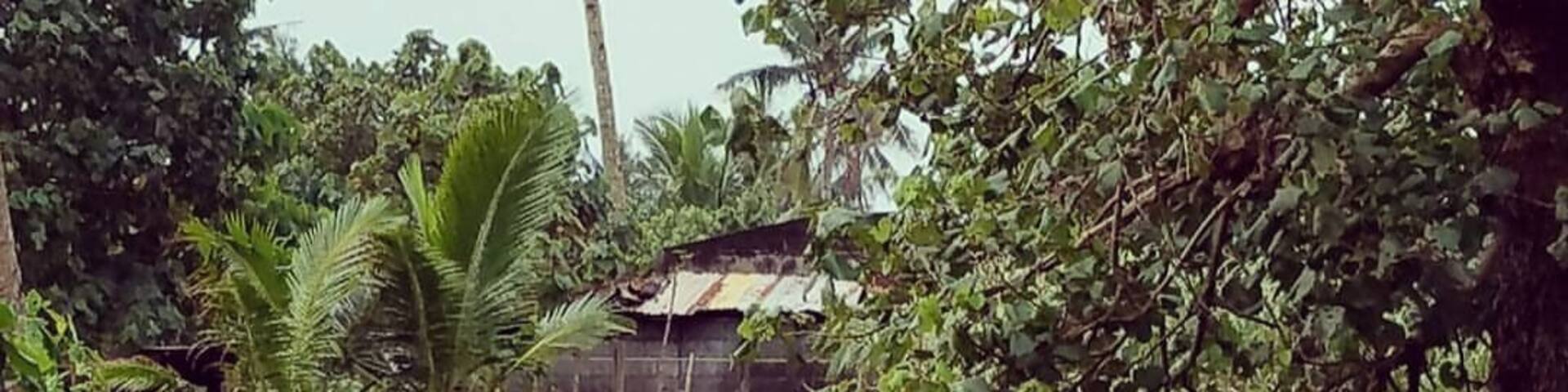 Usually in the province, people owns pigs. They breed pigs which can be a source of income. They sell meat and other pork products. One famous must try food in the Philippines is lechon- a roasted crispy pig stuffed with herbs, spices and condiments. It is skewered into a bamboo pole and cooked under heated coals. You will find lechon in almost all occasions in the Philippines. So yeah, meet our neighbor's pig.
Near our street is an old Jesuit seminary ruins. Our town Dulag was bombed by carrier planes from Oct 17-20,1944 during World War II. Dulag is known as the liberation town. American troops battled with Japanese forces, freeing our coastal town. #Culture