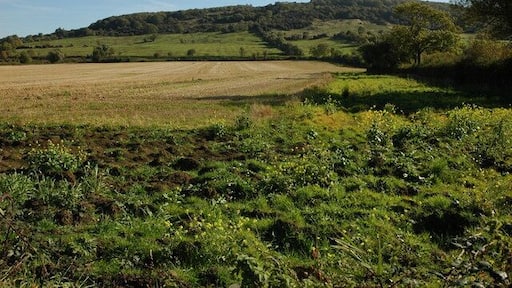Nottingham Hill Nottingham Hill viewed from the Gotherington to Bishop's Cleeve road.
