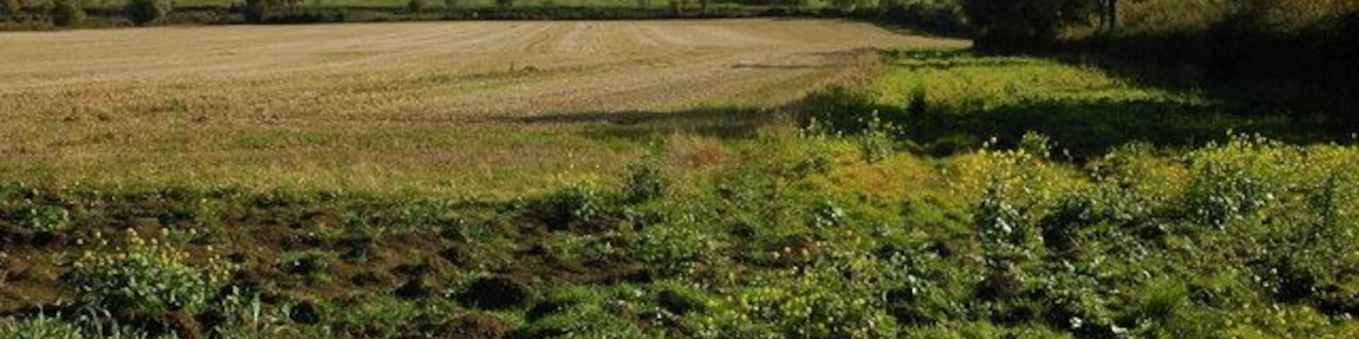 Nottingham Hill Nottingham Hill viewed from the Gotherington to Bishop's Cleeve road.