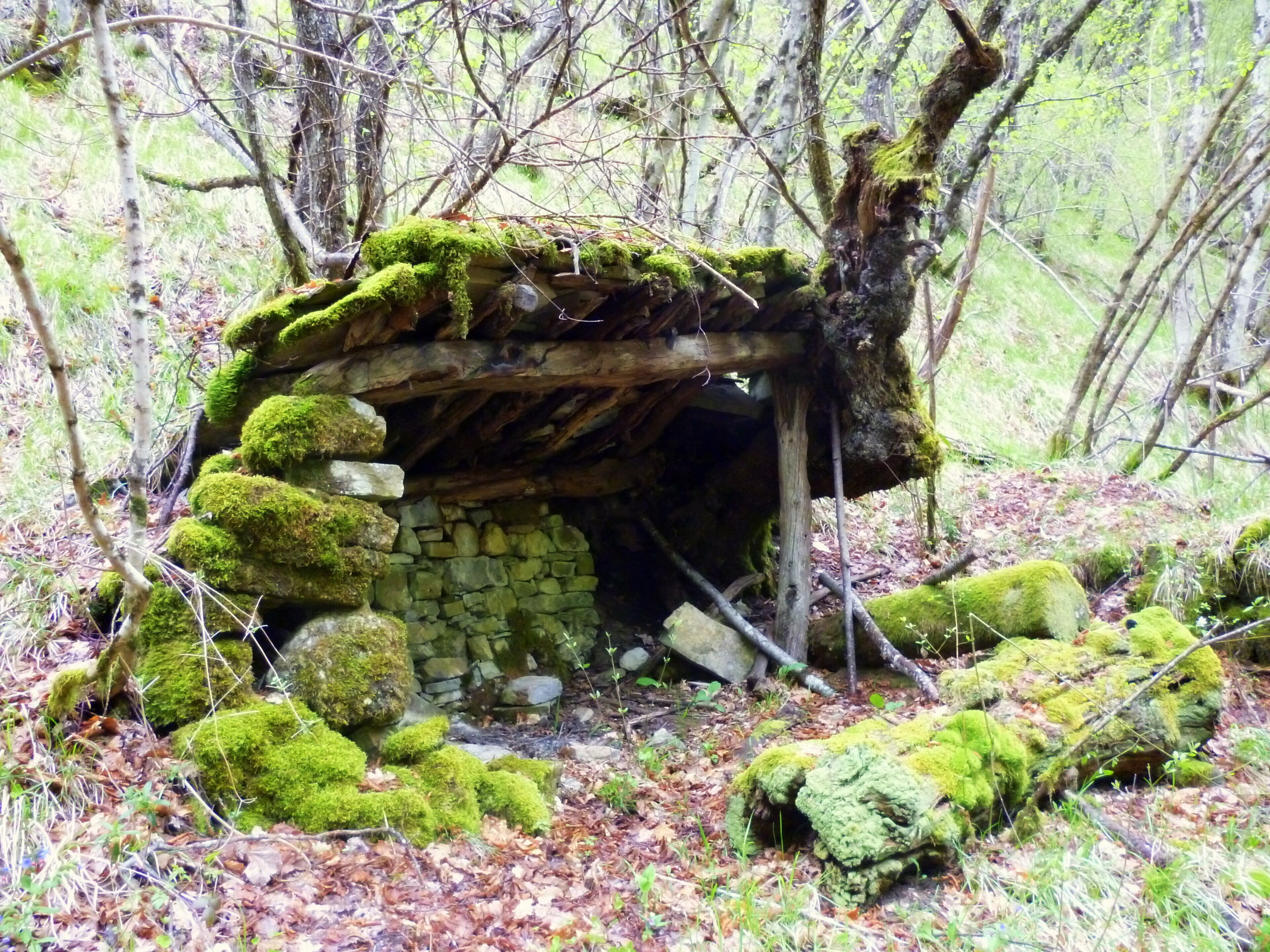 A moss-covered stone hut in a forest.