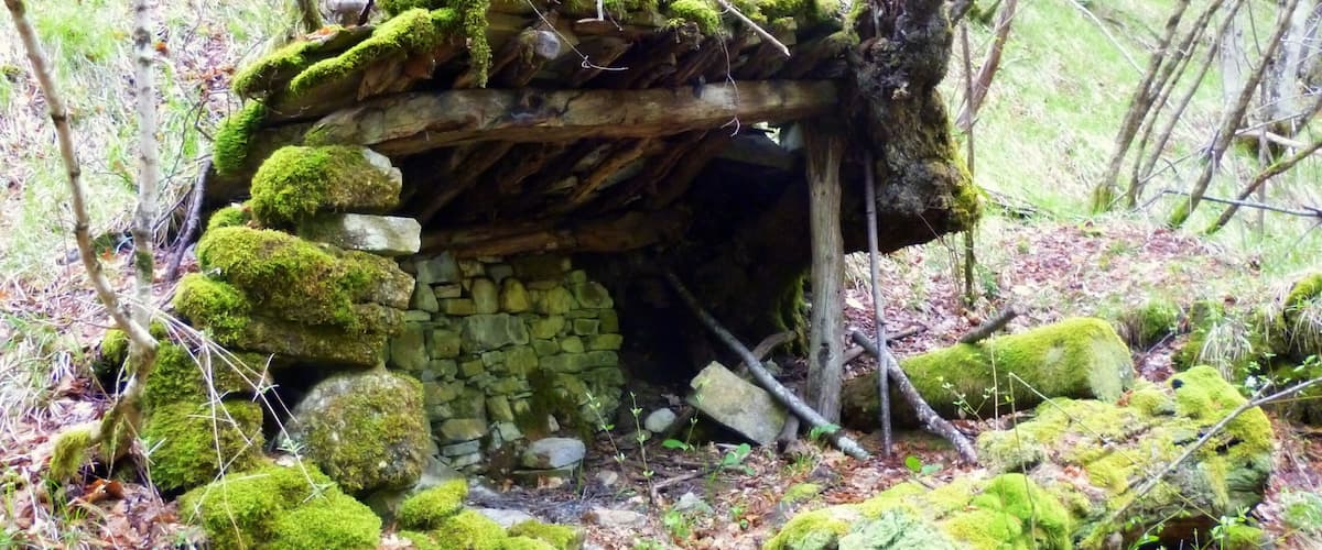 A moss-covered stone hut in a forest.