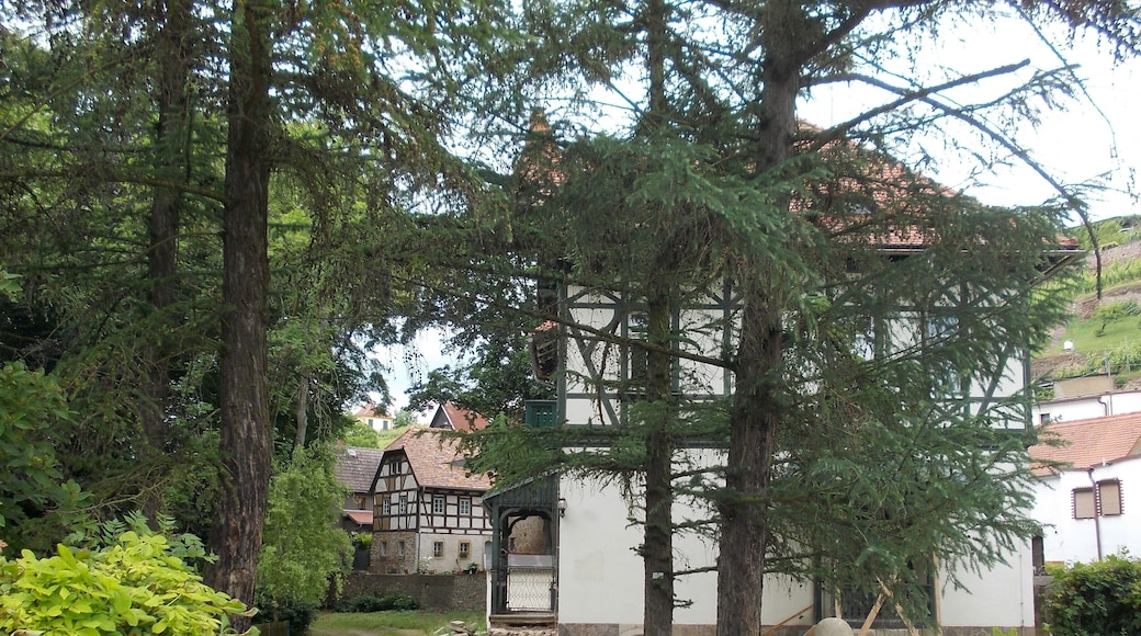Houses near the entrance to the gardens of Seusslitz Castle (Nünchritz, Meissen district, Saxony)