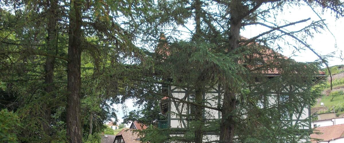Houses near the entrance to the gardens of Seusslitz Castle (Nünchritz, Meissen district, Saxony)