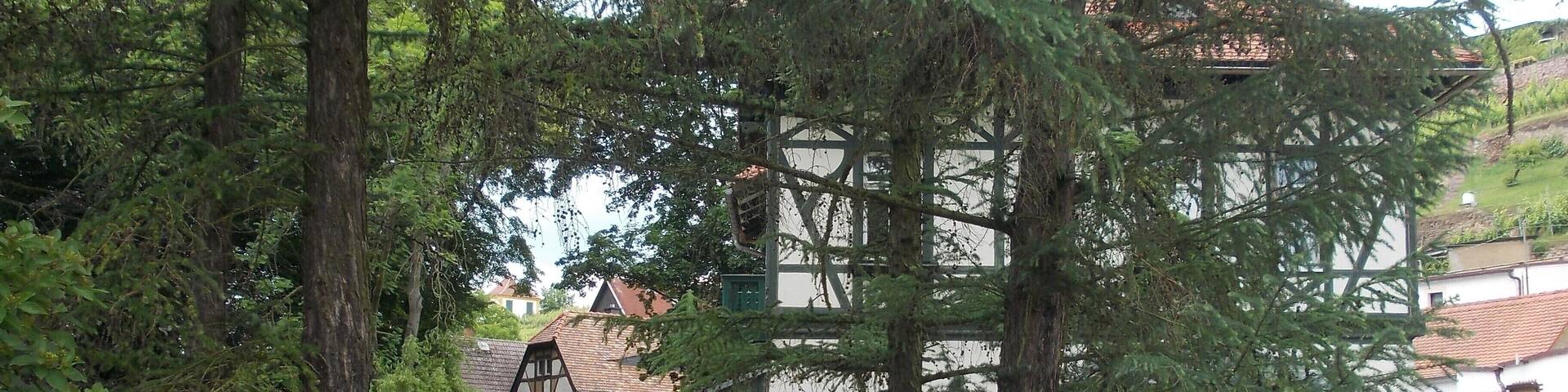 Houses near the entrance to the gardens of Seusslitz Castle (Nünchritz, Meissen district, Saxony)