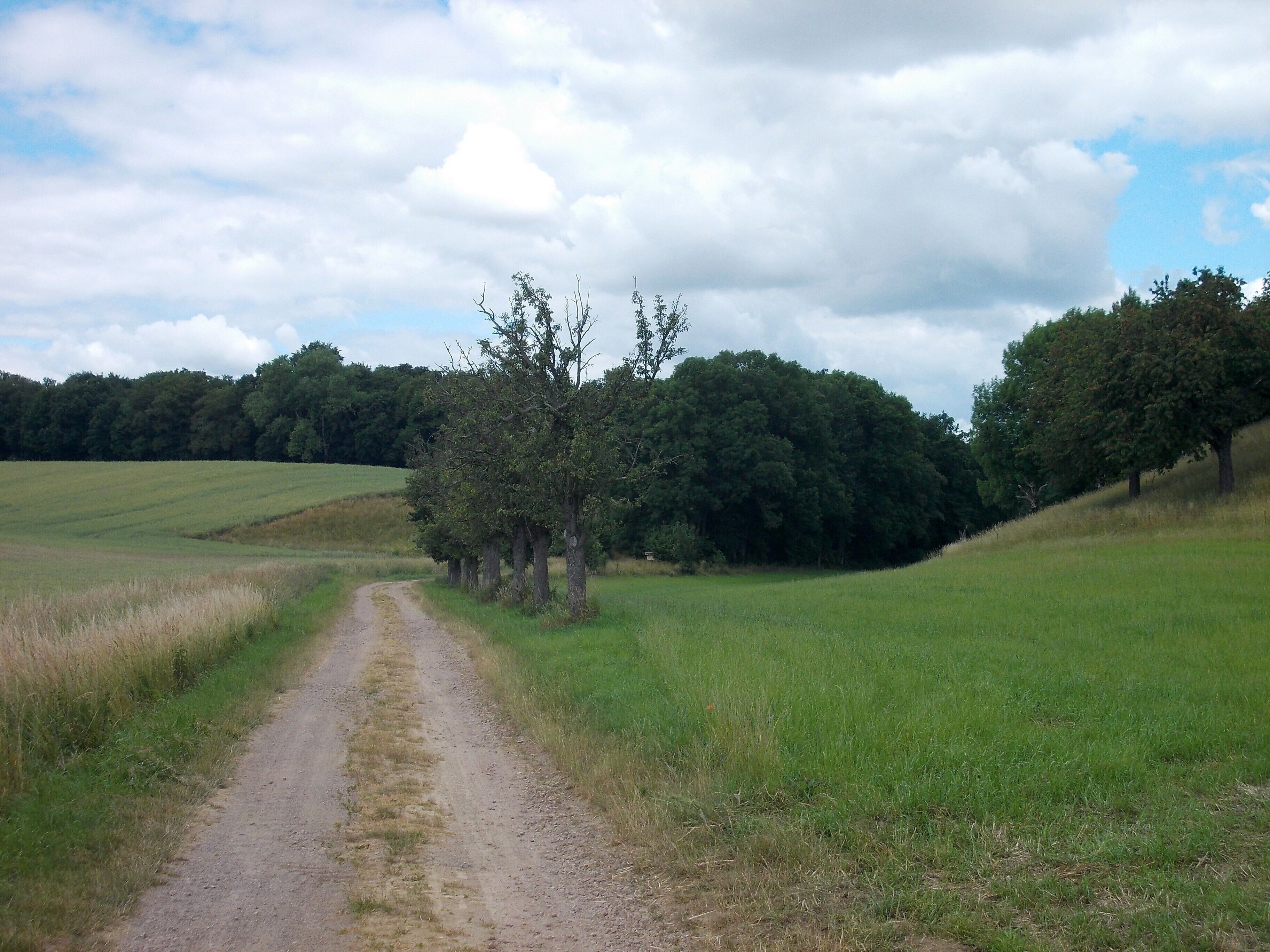 In the valley of Seusslitz (Nünchritz, Meissen district, Saxony), part of the nature reserve "Seusslitzer und Gauernitzer Gründe"