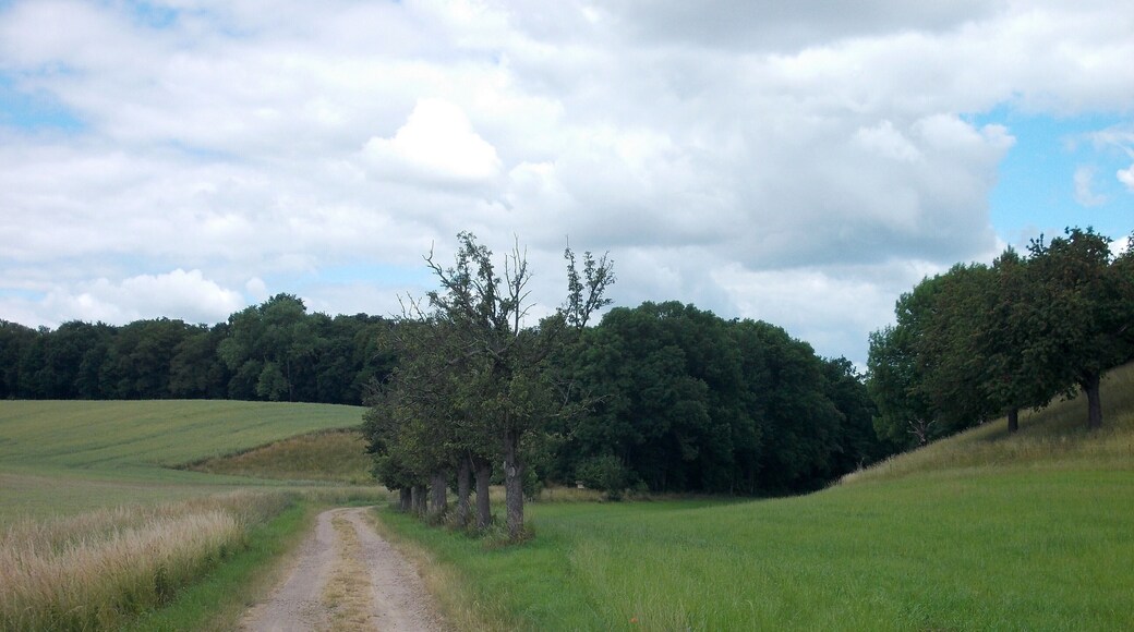 In the valley of Seusslitz (Nünchritz, Meissen district, Saxony), part of the nature reserve "Seusslitzer und Gauernitzer Gründe"