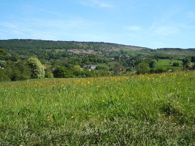 Buttercup meadow View from the Calver to Bramley Wood footpath; Calver Mill, and Curbar Edge in distance