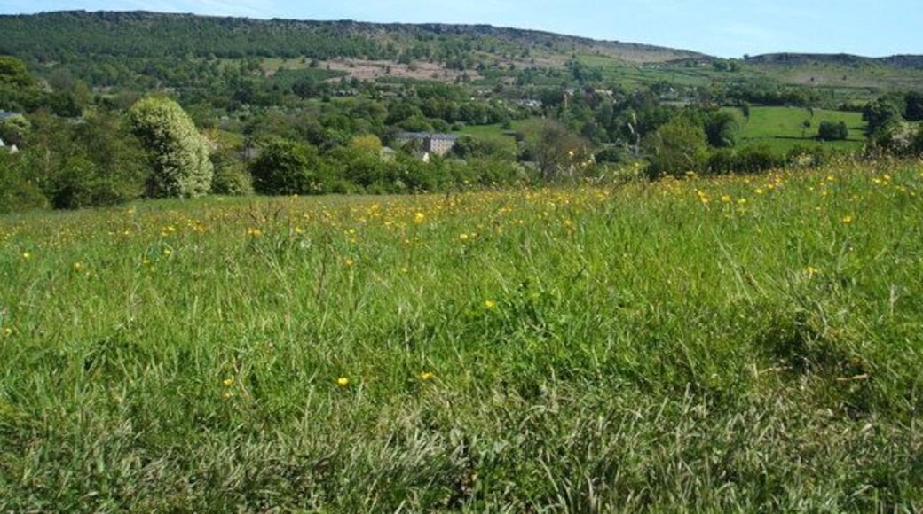 Buttercup meadow View from the Calver to Bramley Wood footpath; Calver Mill, and Curbar Edge in distance