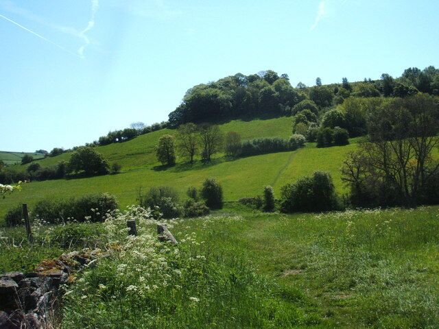 View up to the edge of Bramley Wood