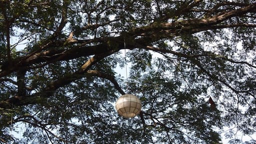 The lost lantern .....