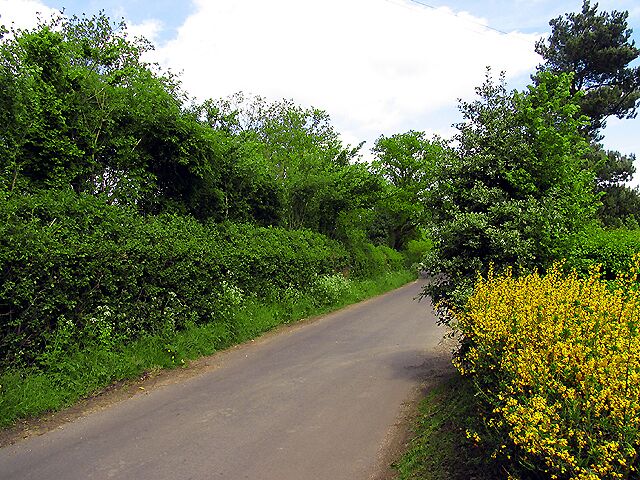 Webbs Lane: Beenham. This section of the lane is near the village of Beenham and in the south eastern section of the grid square. It was taken looking more or less north east along the road.