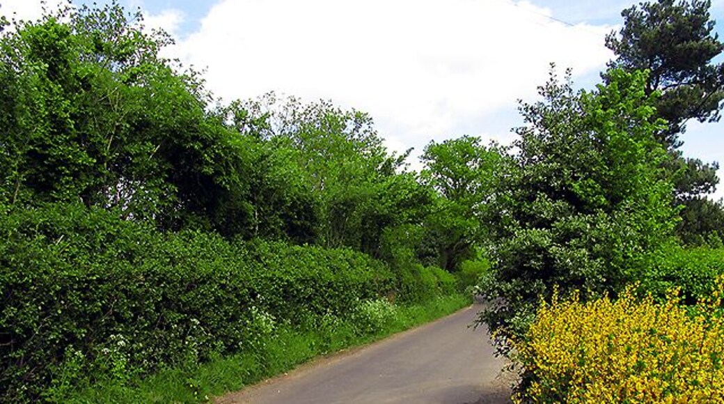 Webbs Lane: Beenham. This section of the lane is near the village of Beenham and in the south eastern section of the grid square. It was taken looking more or less north east along the road.
