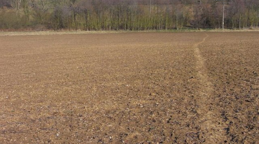 Farmland, Beenham A footpath is seen crossing an arable field as it descends into the valley of The Bourne, a minor tributary of the River Pang. Beyond the right of way climbs through pasture to Gunnells Farmhouse.
