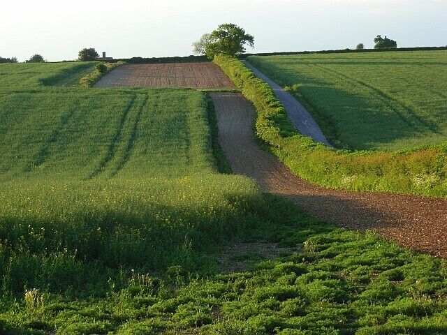 Farmland, Popham Looking across a dry valley to the north of College Wood. The track to the right of the hedgerow is the public footpath.