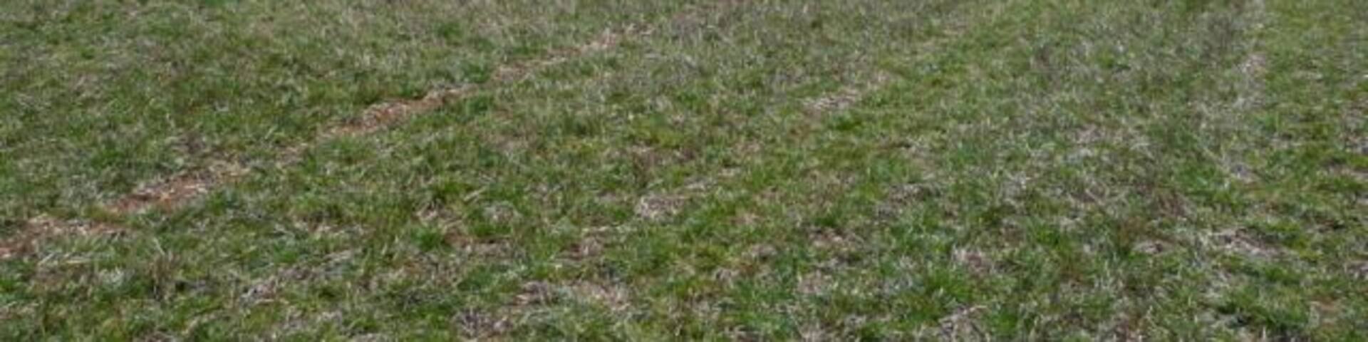 Towards College Wood A view to the south-east across much of the square. The northern part is arable, with College Wood dominating the southern quarter. The public footpath used to go across this field to the edge of the wood on the right (indeed my map still shows that route) but it is now diverted along the hedge line to the left.