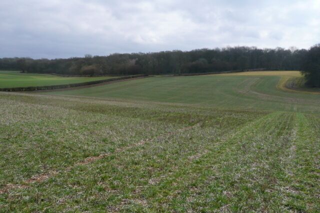 A vast open field with a stone wall and a line of trees in the distance.