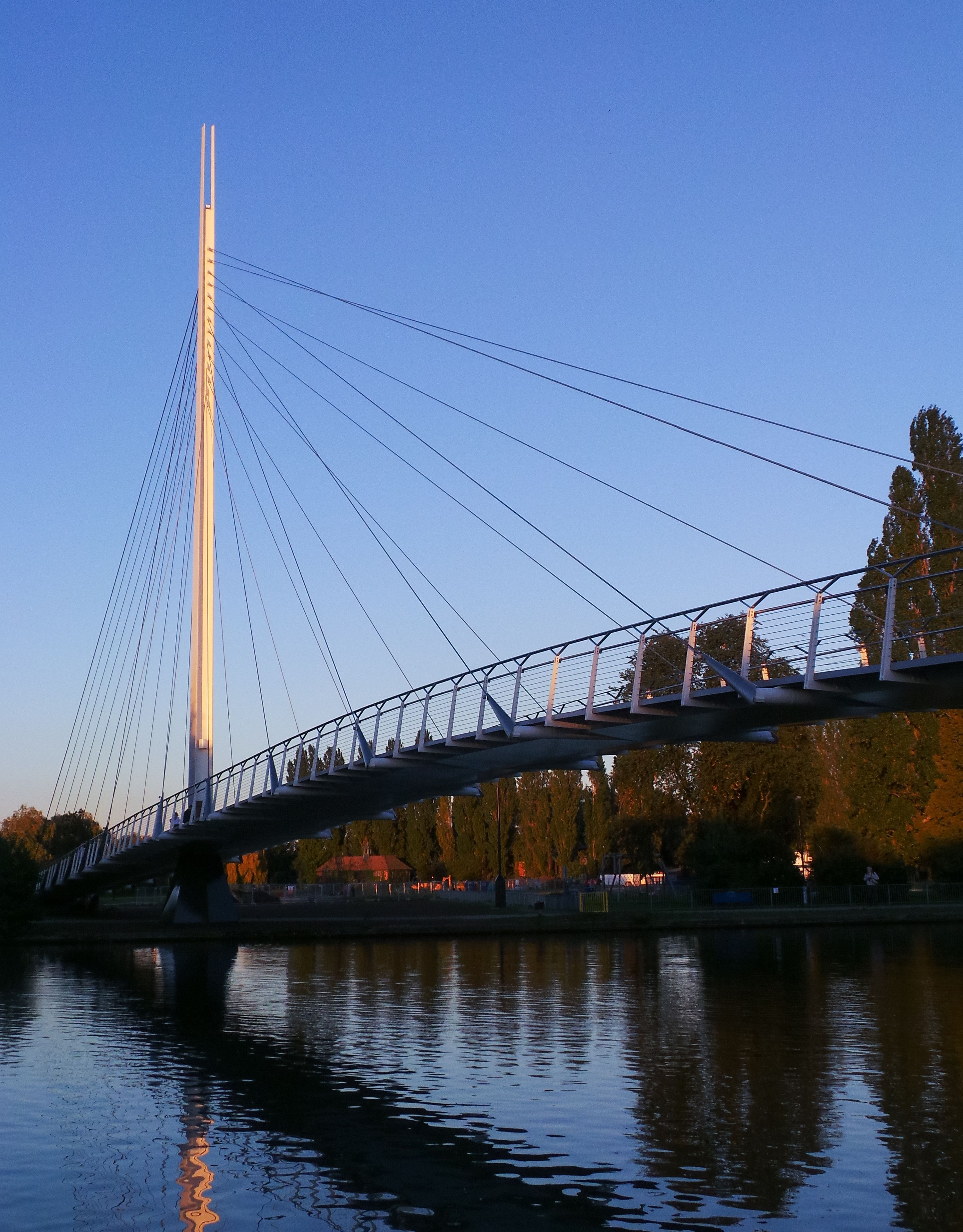 Un puente atirantado sobre un río, con árboles y edificios al fondo.