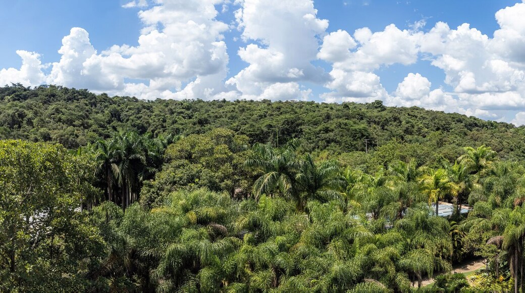 Vista aérea panorâmica do Instituto Inhotim. Sede de um dos mais importantes acervos de arte contemporânea do Brasil e considerado o maior museu a céu aberto do mundo. Brumadinho, MG.