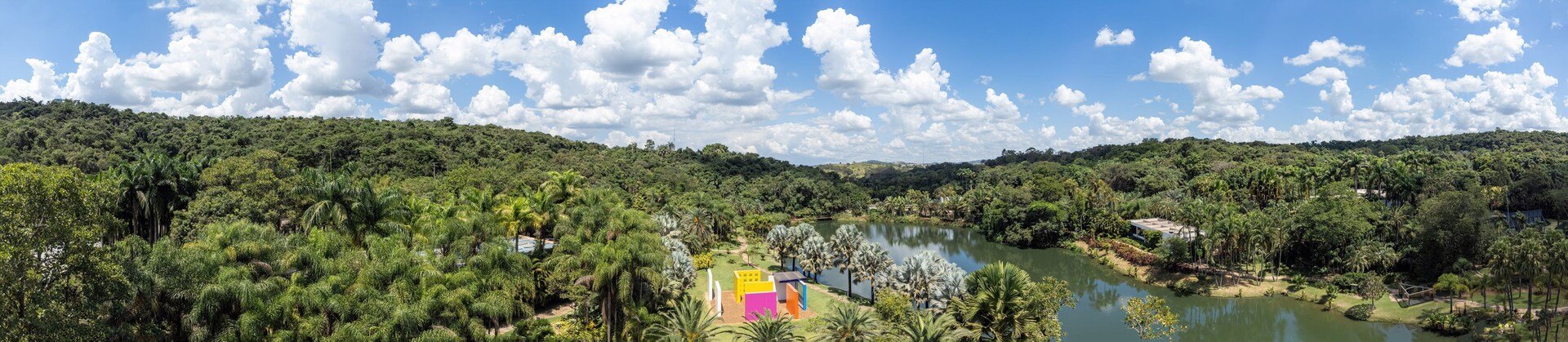 Un río rodeado de bosque denso y un cielo despejado.
