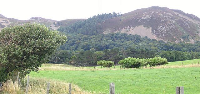 Pasture Land. This image is taken from SH734776 looking inland (east) across the local pasture. The sizeable lump of rock in the distance is Altwen.