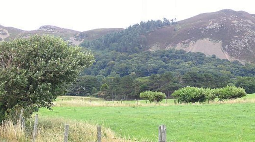 Pasture Land. This image is taken from SH734776 looking inland (east) across the local pasture. The sizeable lump of rock in the distance is Altwen.