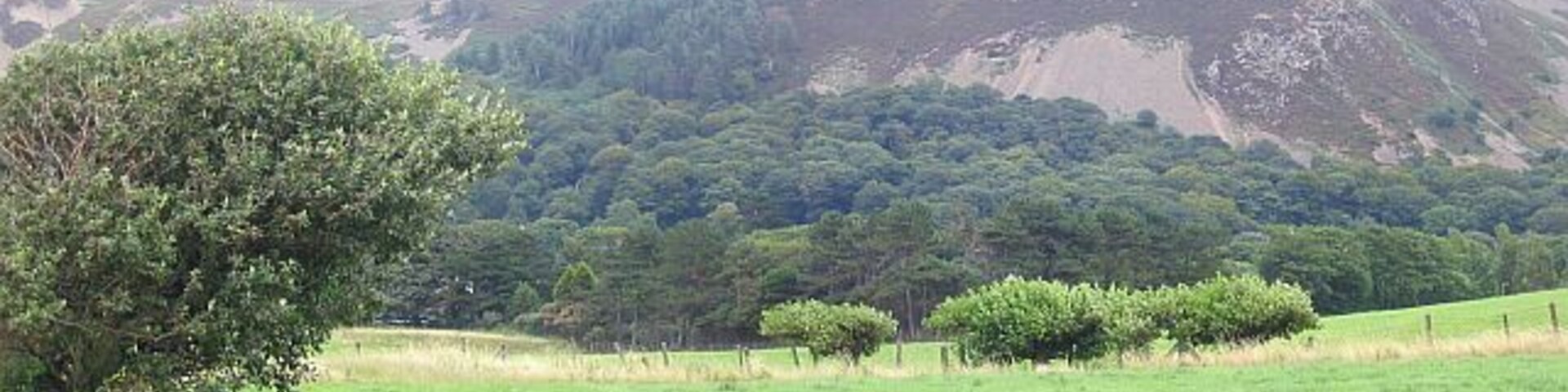 Pasture Land. This image is taken from SH734776 looking inland (east) across the local pasture. The sizeable lump of rock in the distance is Altwen.