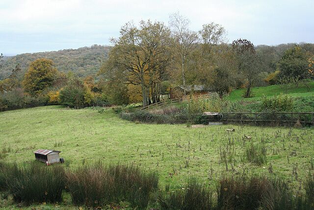 Pitminster: on Blagdon Hill Looking east-north-east