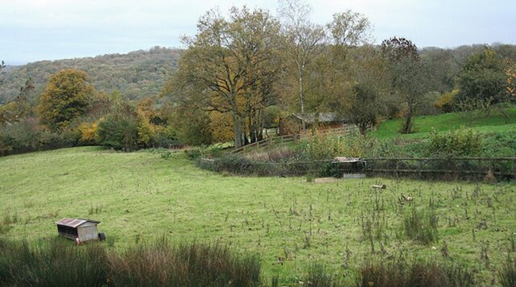 Pitminster: on Blagdon Hill Looking east-north-east