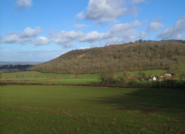Towards Woodram Copse. There is some overlap with 126352, taken from the same spot. The valley is opening out towards the Taunton Deane vale. The wooded slopes of Woodram Copse on the north edge of Adcombe Hill are in ST2118, ST2218 and, above Curdleigh on the right, ST2217.