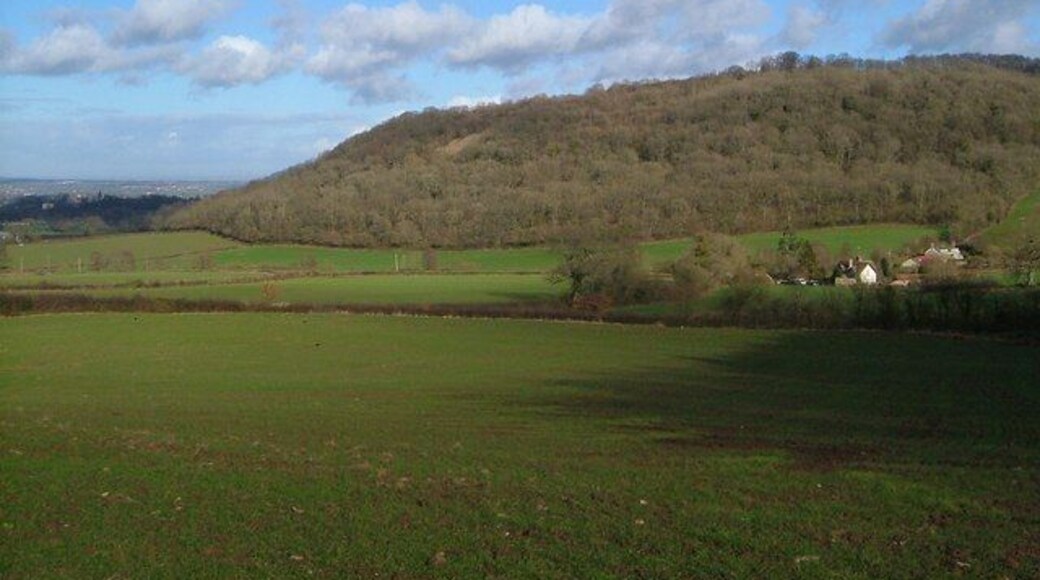 Towards Woodram Copse. There is some overlap with 126352, taken from the same spot. The valley is opening out towards the Taunton Deane vale. The wooded slopes of Woodram Copse on the north edge of Adcombe Hill are in ST2118, ST2218 and, above Curdleigh on the right, ST2217.