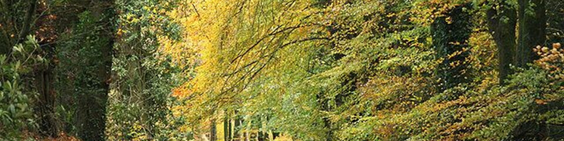 Pitminster: near Culmhead Looking east-south-east towards Widcombe on the road from the Wellington Monument. The river Culm, which flows to Culmstock and Cullompton and on to Stoke Canon where it meets the Exe, rises nearby