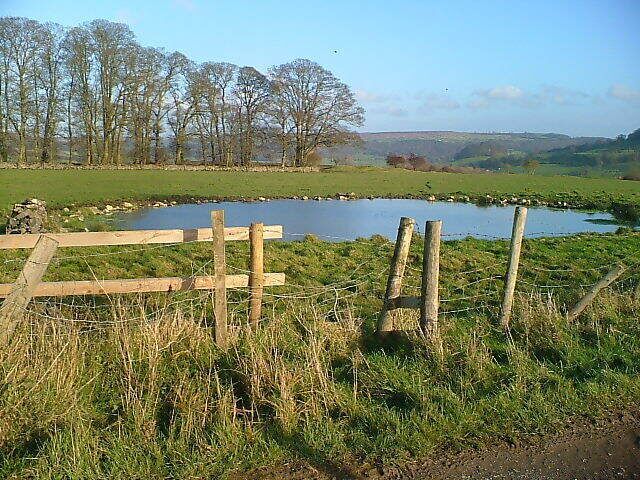 Dewpond Dewpond in field next to Haddon plantation