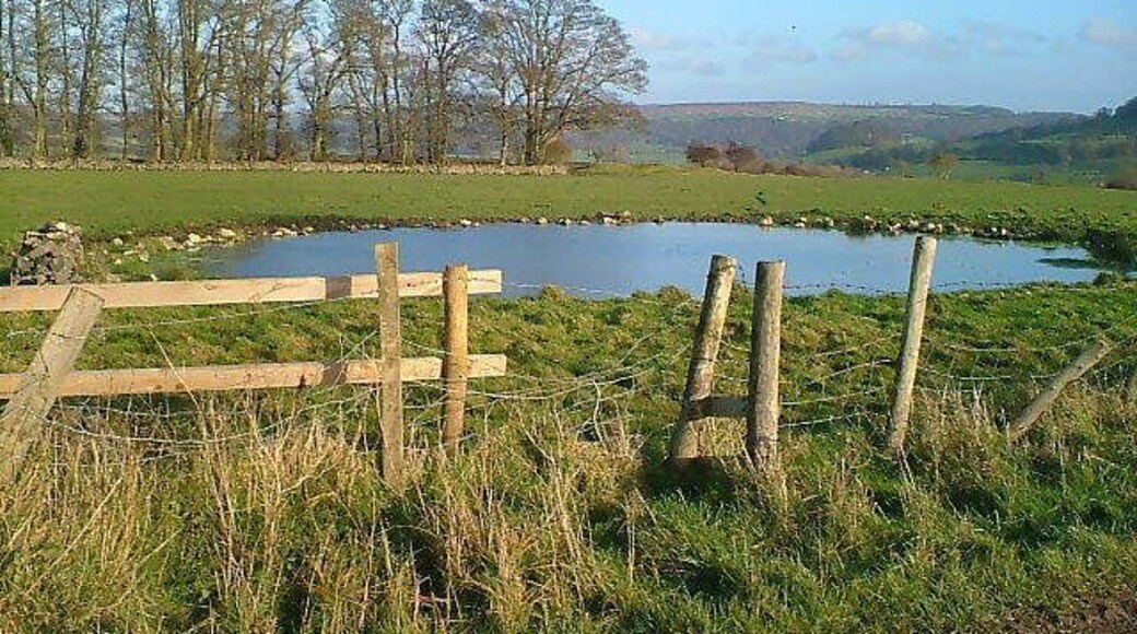 Dewpond Dewpond in field next to Haddon plantation