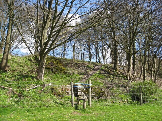 A wooded area with a signpost and a grassy hill.