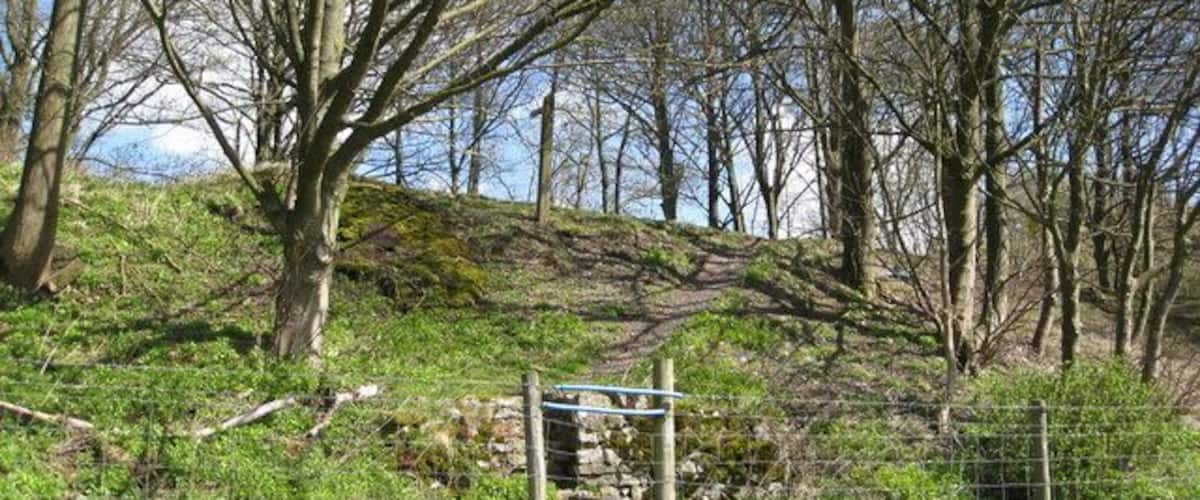 A wooded area with a signpost and a grassy hill.