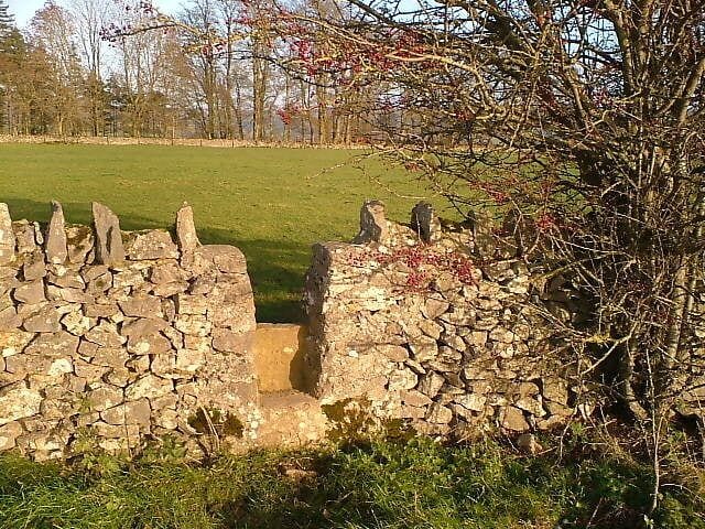 Field stile This stile is at the side of the dewpond