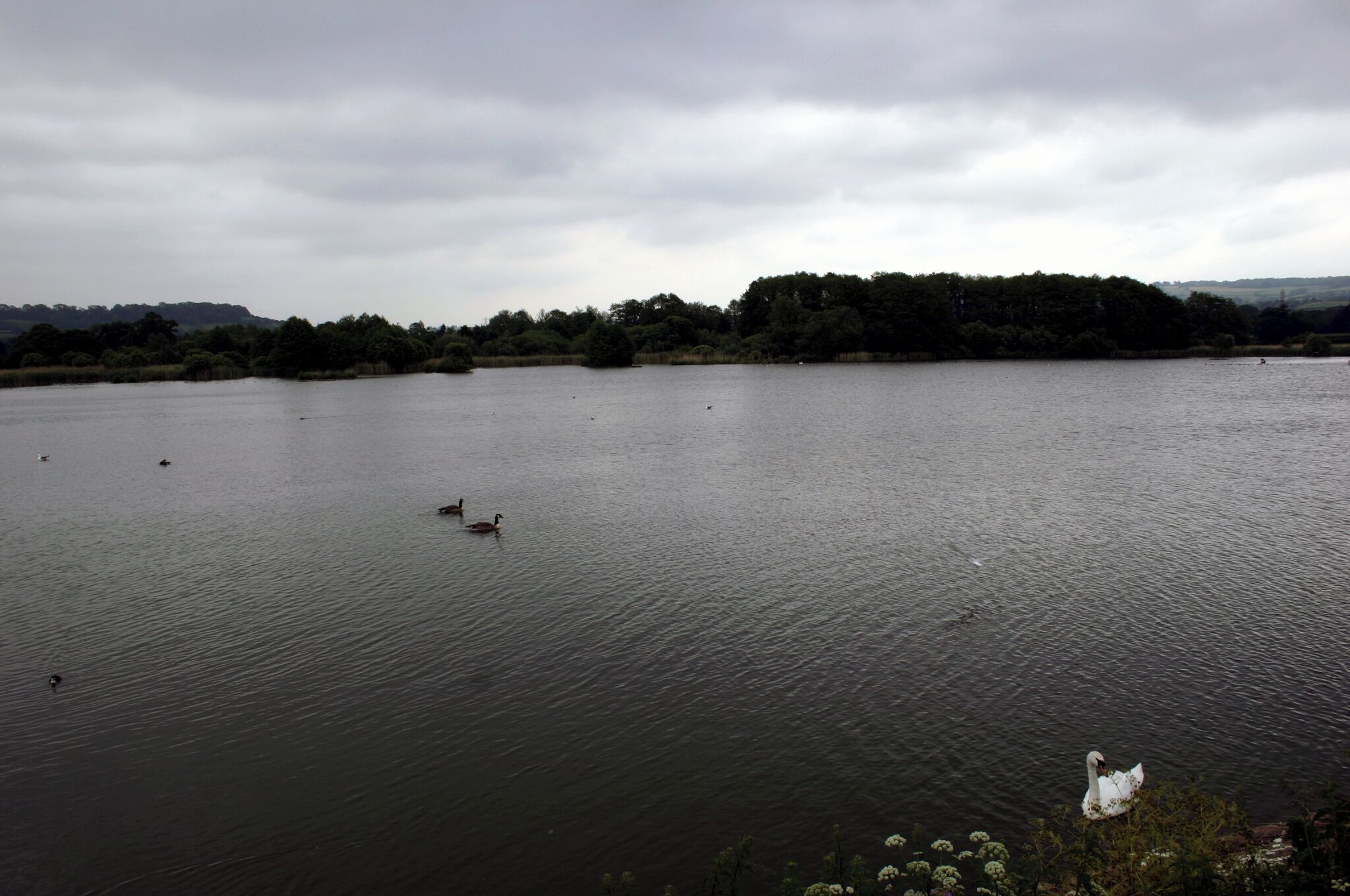 Chew Valley Lake