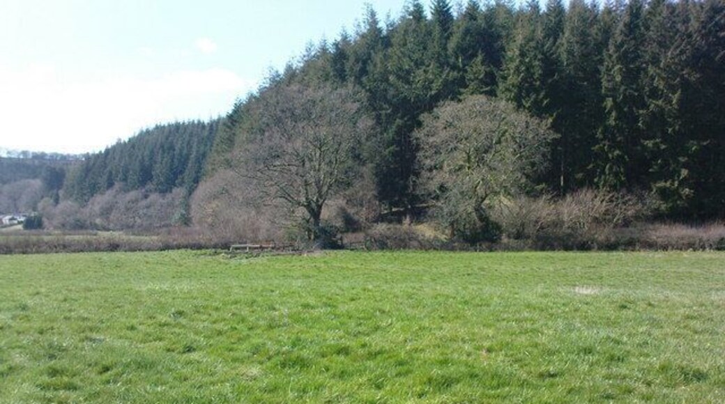 Landsker Borderlands Farmland in the Landsker Borderlands area, wooded area with bike and footpath trails. Farm on left of picture is Danycoed.