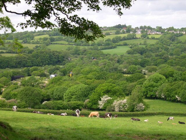 A lush green valley with rolling hills and scattered trees.