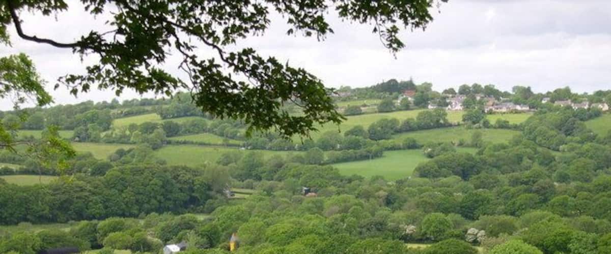 A lush green valley with rolling hills and scattered trees.