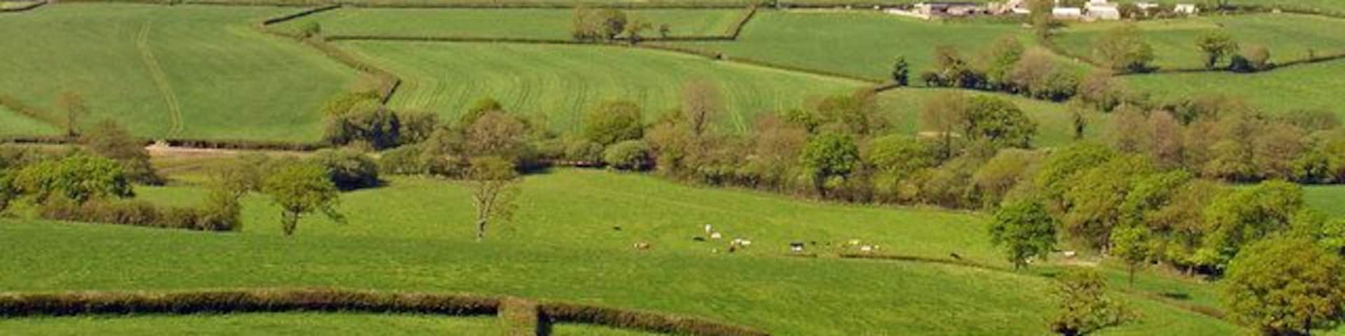 Tynewydd Farm, Llawhaden In the distance is Moel Cwmcerwyn, the highest point in the Preseli Hills